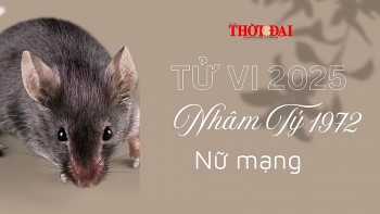 Tử vi năm 2025 tuổi Nhâm Tý 1972 nữ mạng: Sức khỏe, gia đạo, công danh sự nghiệp