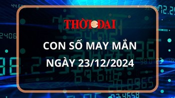 Con số may mắn hôm nay 23/12/2024 12 con giáp: Tỵ nhận được nhiều lộc từ bên ngoài