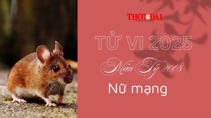 Tử vi năm 2025 tuổi Mậu Tý 2008 nữ mạng: Bình ổn, có thêm chút may mắn về tiền tài