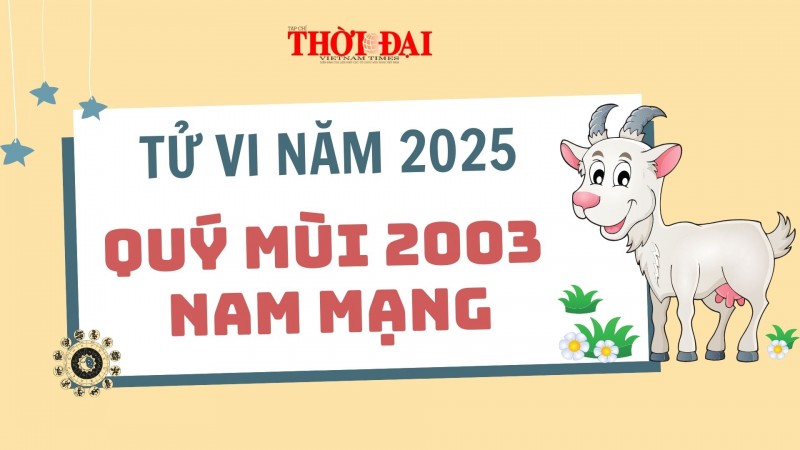 Tử vi năm 2025 tuổi Quý Mùi 2003 nam mạng: Xuất hiện nhiều cơ hội phát triển