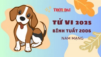 Tử vi năm 2025 tuổi Bính Tuất 2006 nam mạng: Nhiều cơ hội tốt và thay đổi tích cực