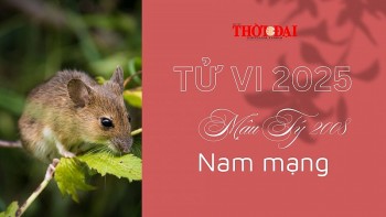 Tử vi năm 2025 tuổi Mậu Tý 2008 nam mạng: Tình cảm may mắn, sự nghiệp bình ổn