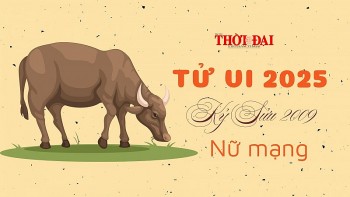 Tử vi năm 2025 tuổi Kỷ Sửu 2009 nam mạng: Bình ổn, nhiều cát lành