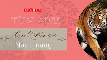 Tử vi năm 2025 tuổi Canh Dần 2010 nam mạng: Một năm không nhiều may mắn