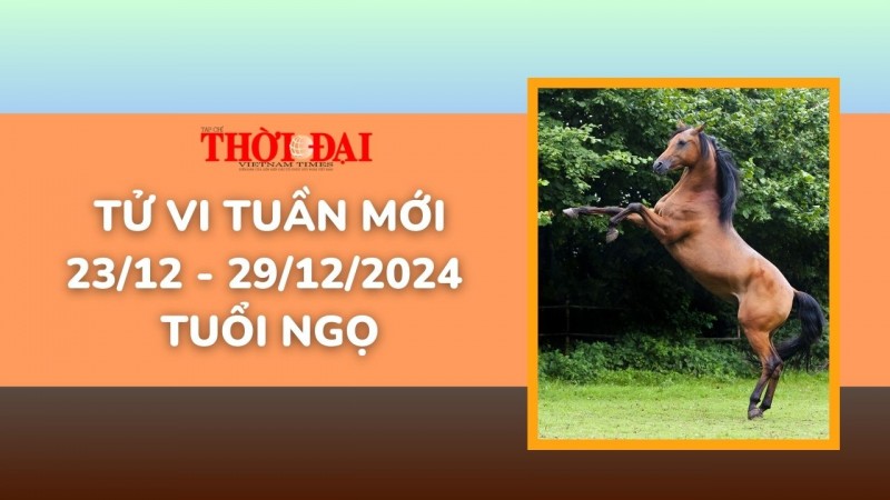 Tử vi tuần mới 23/12 đến 29/12/2024 tuổi Ngọ: Tình duyên, công danh tài lộc