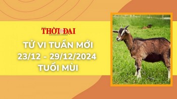 Tử vi tuần mới 23/12 đến 29/12/2024 tuổi Mùi: Tình duyên, công danh tài lộc