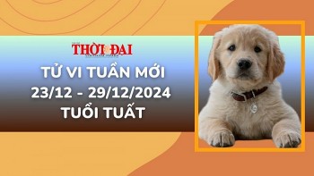 Tử vi tuần mới 23/12 đến 29/12/2024 tuổi Tuất: Tình duyên, công danh tài lộc