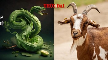 Top con giáp may mắn hôm nay 30/12/2024: Mùi sự nghiệp phát triển Tỵ thiên tài trợ vận