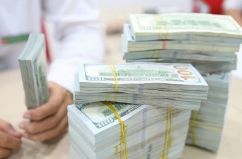 gia usd tai ngan hang giam manh