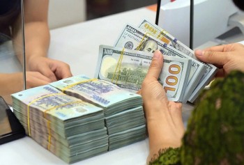 gia usd tai ngan hang dao chieu tang manh