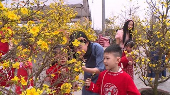 thoi tiet hom nay 311 nen nhiet mien bac tang nhe