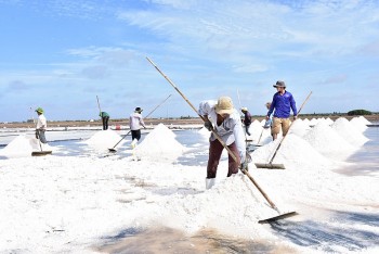 festival nghe muoi viet nam bac lieu se dien ra tu ngay 6 83 voi nhieu hoat dong noi bat
