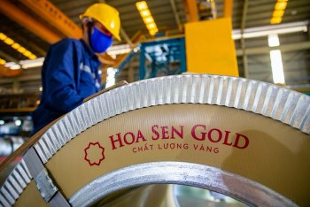 hoa sen group dat muc tieu lai 400 500 ty dong du kien mua lai 50 100 trieu co phieu quy
