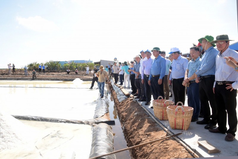 Lan tỏa “Hành trình 100 năm nghề muối - Đời người” tại Bạc Liêu