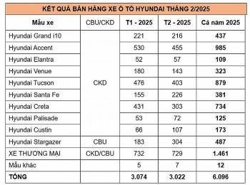 TC Group bán ra 3.022 xe trong tháng 2/2025