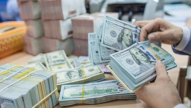 Kho bạc Nhà nước tiếp tục mua vào ngoại tệ