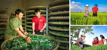 Gỡ 'nút thắt' để hợp tác xã bứt phá
