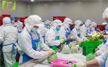 Nông sản Việt tăng tốc xuất khẩu trong thời gian Mỹ tạm hoãn thuế