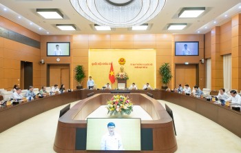 Đề xuất miễn, giảm tiền thuê đất cho dự án công nghệ số, sản xuất và an sinh xã hội