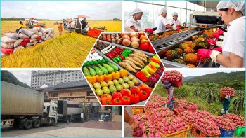 Thị trường nội địa: 