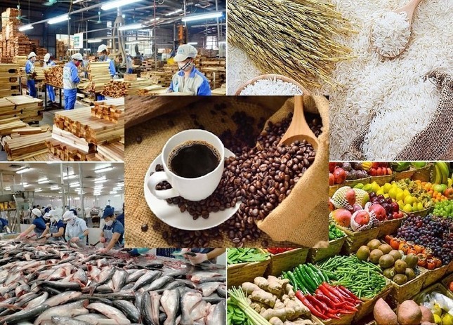Lộ diện &apos;ngôi sao&apos; sáng nhất của nông sản Việt Nam