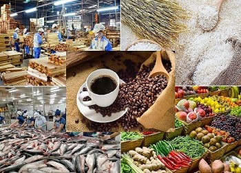 Lộ diện 'ngôi sao' sáng nhất của nông sản Việt Nam