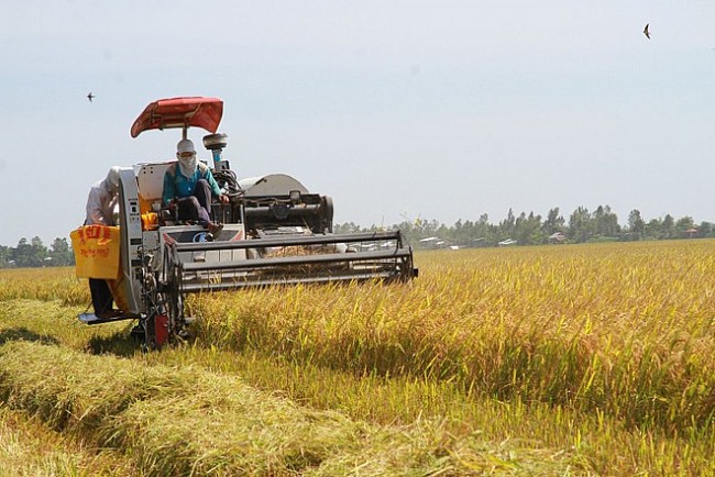 Đảm bảo sản xuất, tiêu thụ nông lâm thủy sản trước biến động thương mại toàn cầu