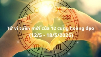 tu vi tuan moi cua 12 cung hoang dao tu 125 1852025 cu giai co hoi phat trien su nghiep