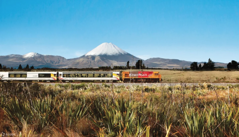 Du lịch New Zealand: Phương tiện di chuyển phổ biến