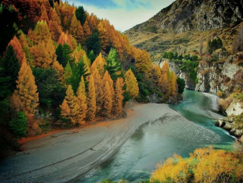 Thời điểm thích hợp đi du lịch New Zealand