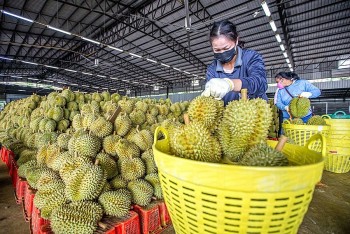 trung quoc phe duyet them gan 1000 ma so vung trong va co so dong goi sau rieng viet nam