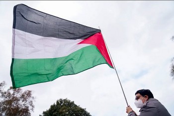 Tin quốc tế ngày 27/5: Palestine giành được quyền treo cờ tại trụ sở WHO; ông Trump cân nhắc chuyển 3 tỷ USD từ Harvard sang trường dạy nghề