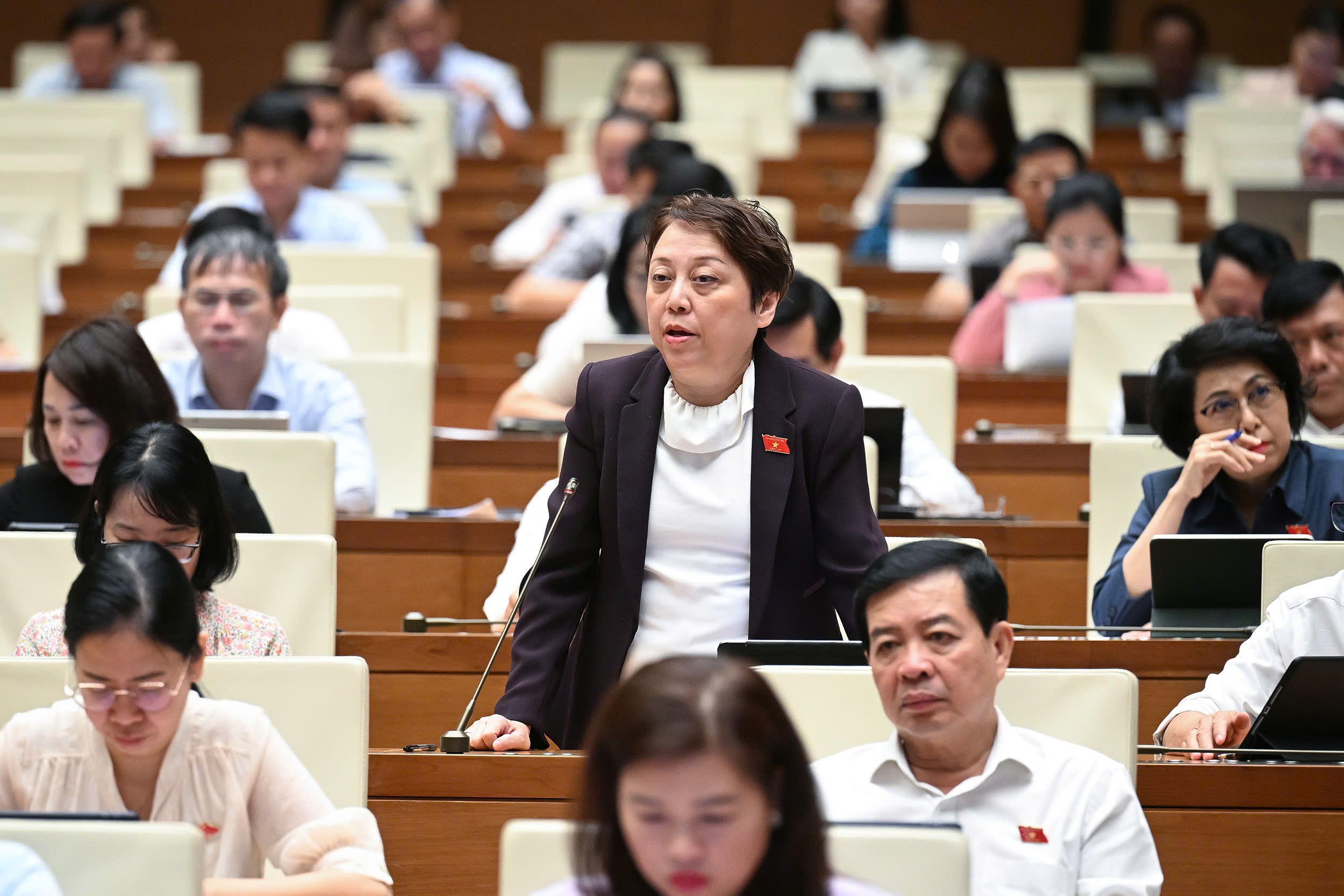 đại biểu Phạm Khánh Phong Lan (Đoàn đại biểu Quốc hội Thành phố Hồ Chí Minh) 