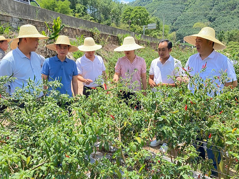 Giao lưu nhân dân: Nhịp cầu hữu nghị Mường Nhé - Giang Thành