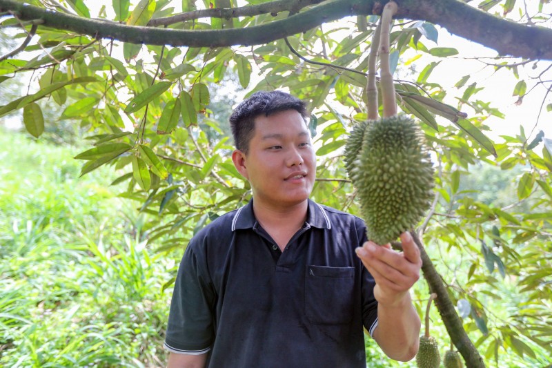 Giúp người trẻ Lâm Đồng làm giàu trên mảnh đất quê hương