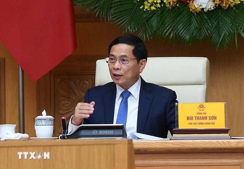 Phó Thủ tướng Bùi Thanh Sơn tiếp chuyên gia, nhà khoa học Tổ chức AVSE Global