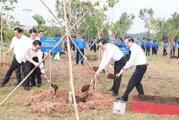 Cây hữu nghị Việt - Trung xanh tươi trên đất Bình Dương