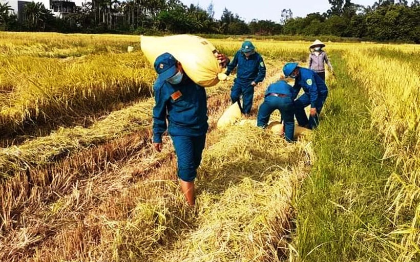 Việt Nam có khả năng tự chủ lương thực ở mức cao