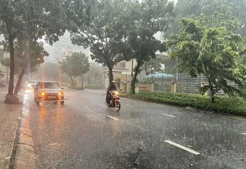 có mưa rào và dông, cục bộ có nơi mưa to