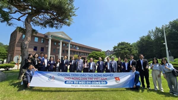 Giao lưu thanh niên nông thôn Việt Nam – Hàn Quốc năm 2025