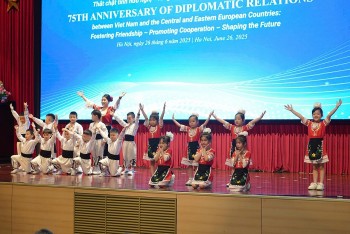 hoi thao 75 nam quan he viet nam trung dong au nhieu sang kien de xuat thiet thuc nham mo rong hop tac