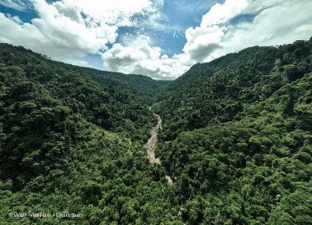 WWF hỗ trợ Quảng Trị bảo tồn đa dạng sinh học, thích ứng biến đổi khí hậu và sinh kế cộng đồng