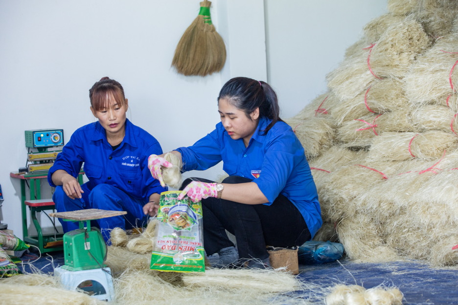 Chắp cánh ước mơ khởi nghiệp cho thanh niên Việt Nam
