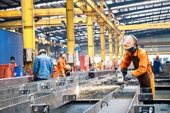 80,8% doanh nghiệp chọn tin tưởng và kỳ vọng vào quý III/2025