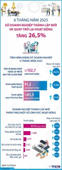 Số doanh nghiệp thành lập mới và quay trở lại hoạt động tăng 26,5%