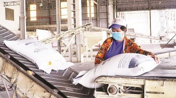 Hỗ trợ kinh tế tư nhân, hướng mở cho doanh nghiệp miền Tây