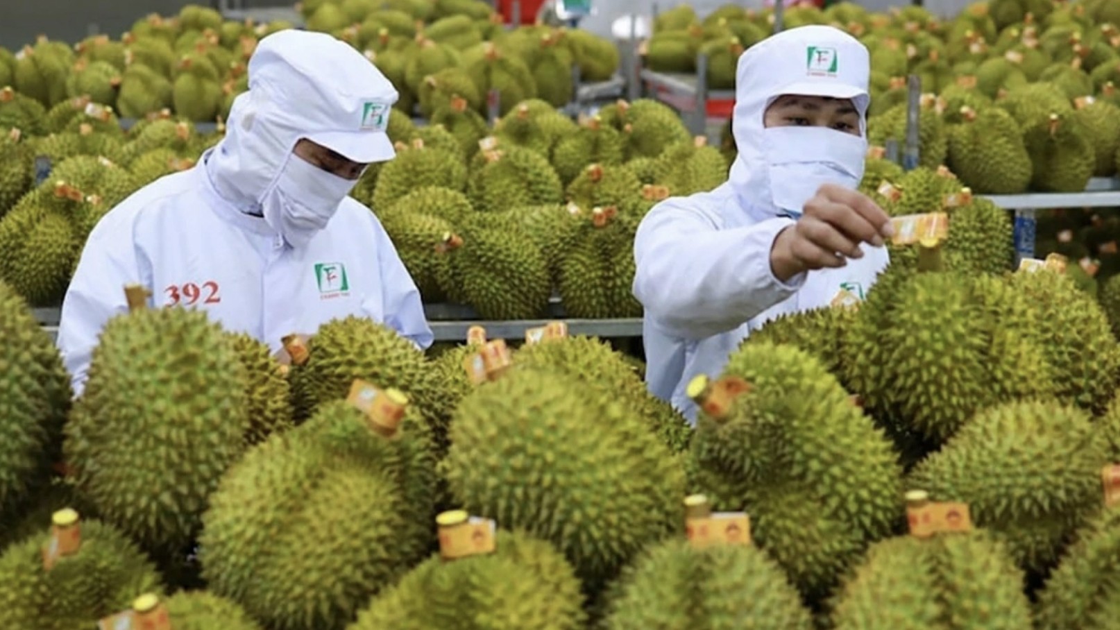 Giữ vững 'tay lái' vĩ mô: 6 tháng đầu năm tăng trưởng trong thế trận khó