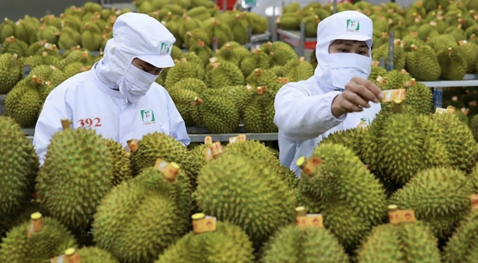 Giữ vững 'tay lái' vĩ mô: 6 tháng đầu năm tăng trưởng trong thế trận khó