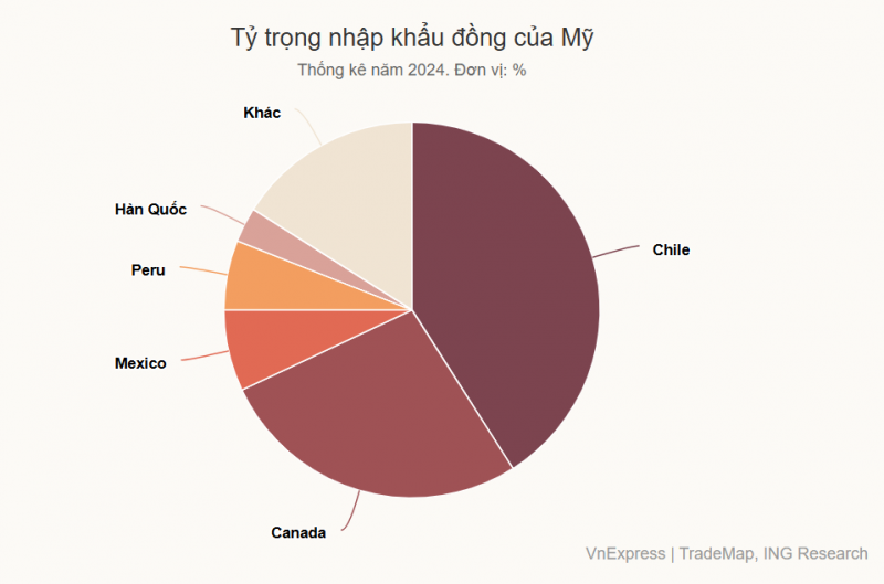 Tỷ trọng nhập khẩu đồng của Mỹ (Thống kê năm 2024). (Ảnh: Vnex press).