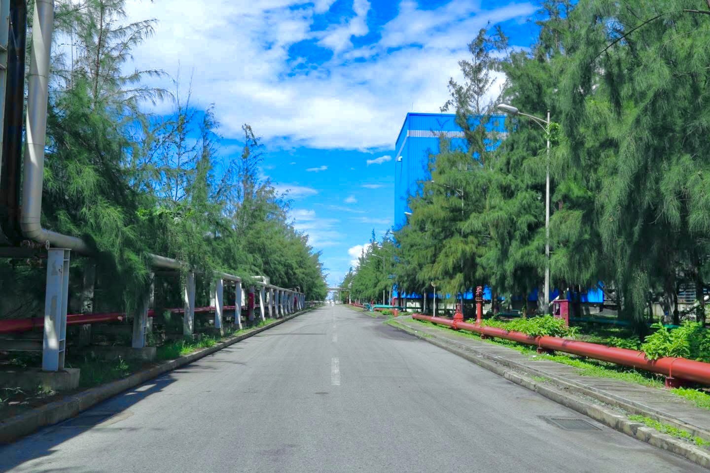 Tại mỗi nhà máy của Công ty, cây xanh chiếm trên 15% diện tích, góp phần xanh hóa không gian, giảm tiếng ồn, rung, nhiệt và bức xạ trong quá trình vận hành